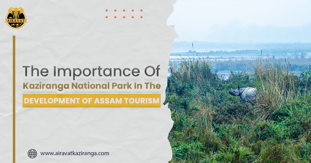 best hotels in Kaziranga