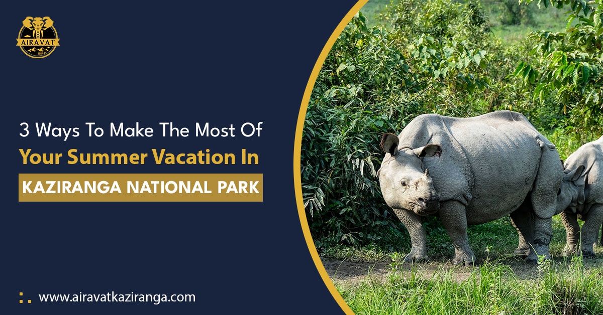 premium resort in Kaziranga