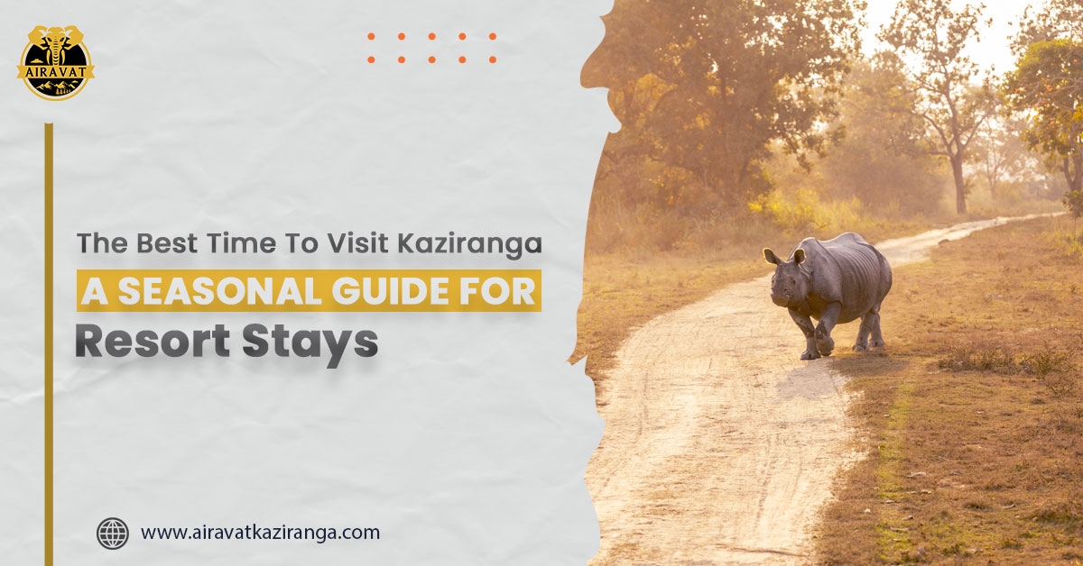 The Best Time to Visit Kaziranga: A Seasonal Guide for Resort Stays