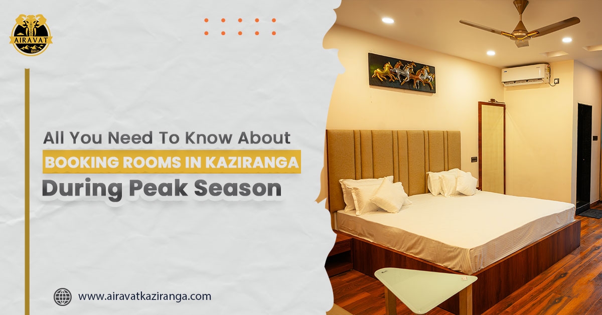 All You Need to Know About Booking Rooms in Kaziranga During Peak Season