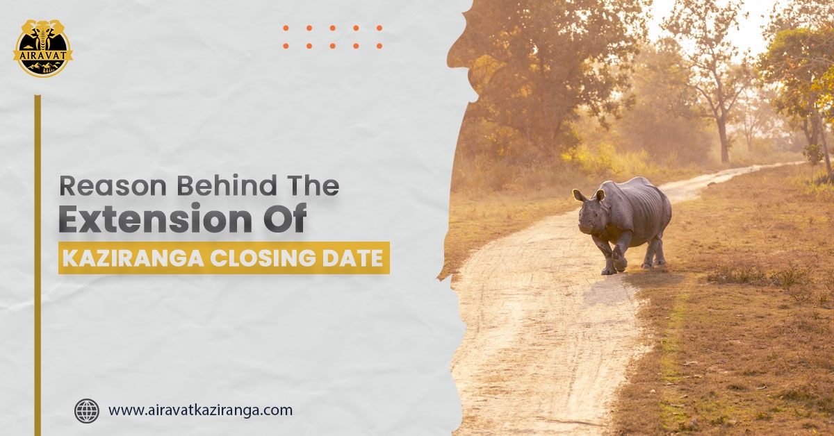 Resorts In Kaziranga