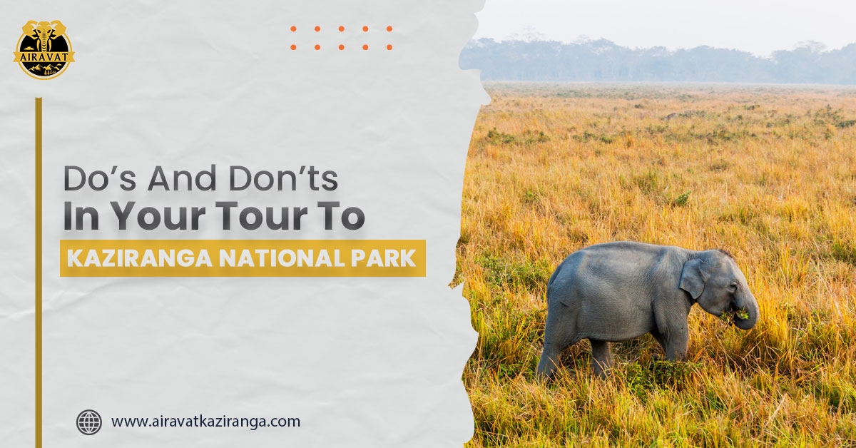 Best Hotels In Kaziranga