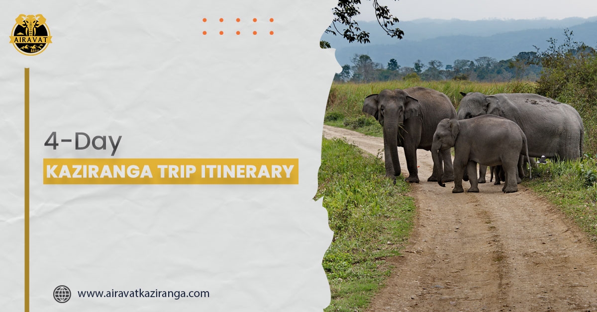 Veg Restaurant in Kaziranga