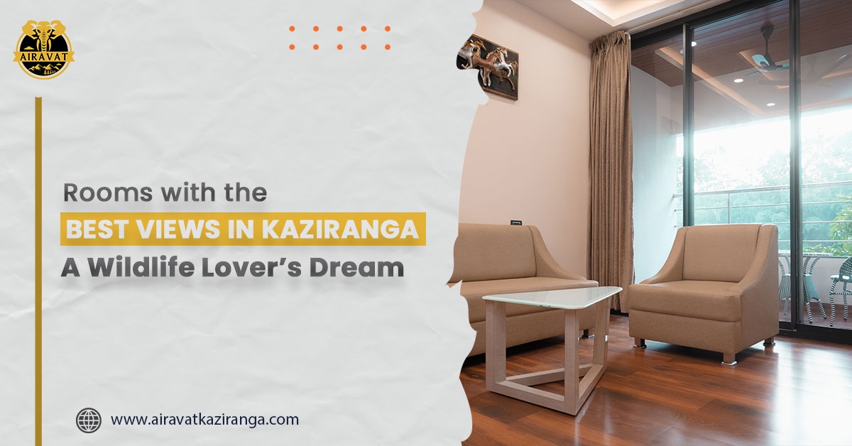 Rooms in Kaziranga