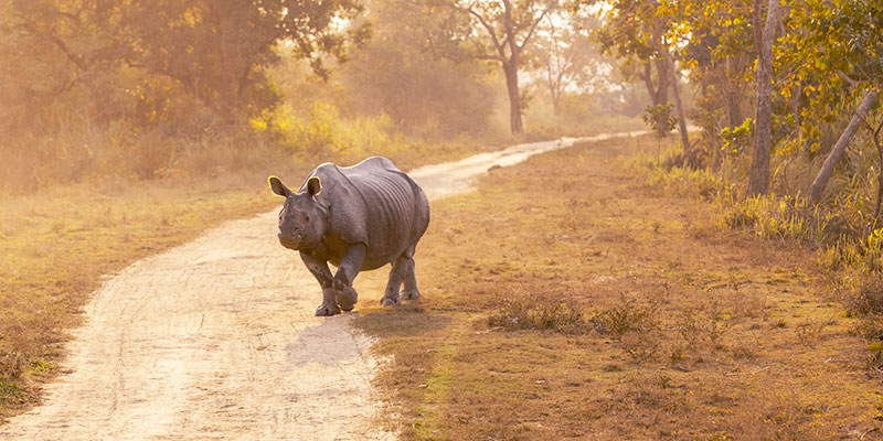 Create wonderful memories