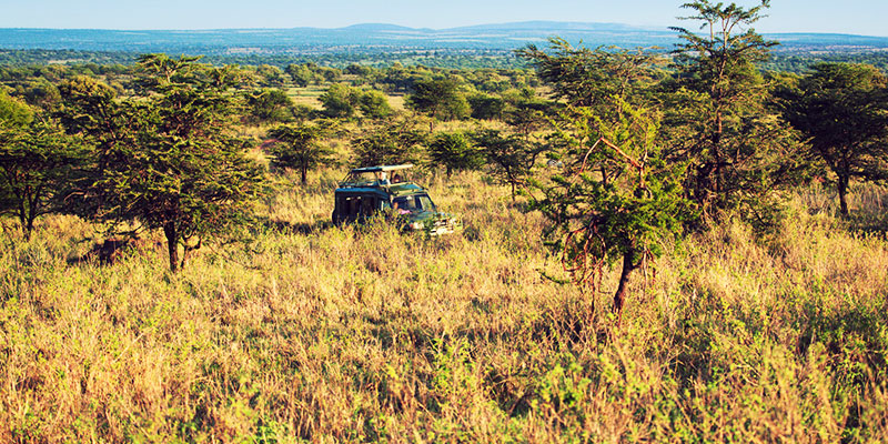 Enjoy a jeep safari