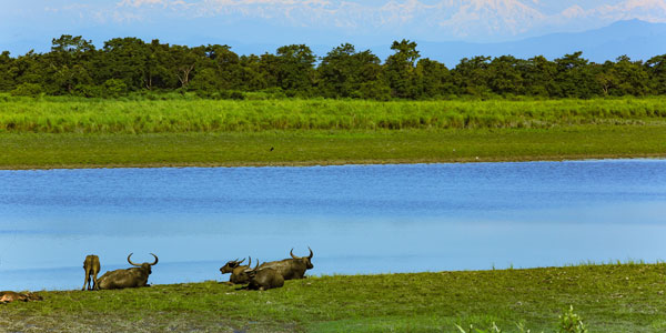 Cultural Experiences